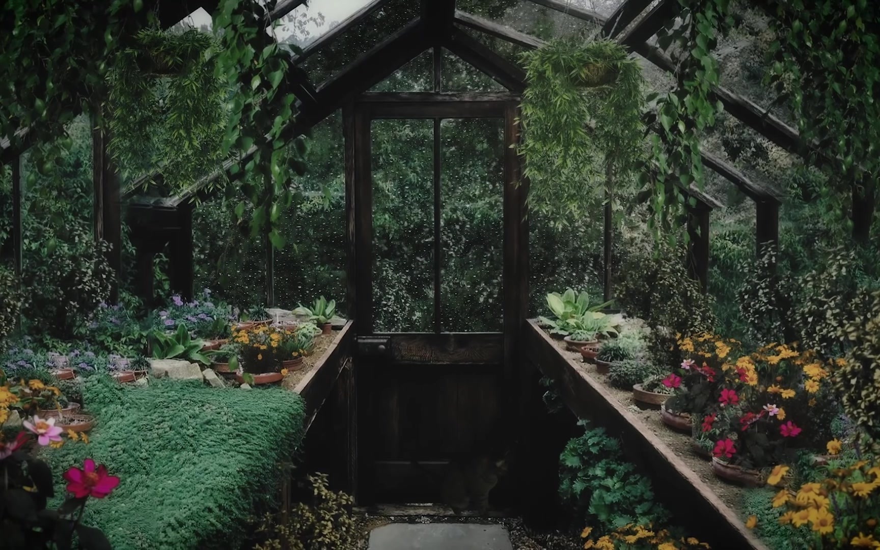 [图]1小時 - 雨天的溫室 Rainy day in the Greenhouse 自然聲雨聲風聲 助眠用學習用專注用BGM