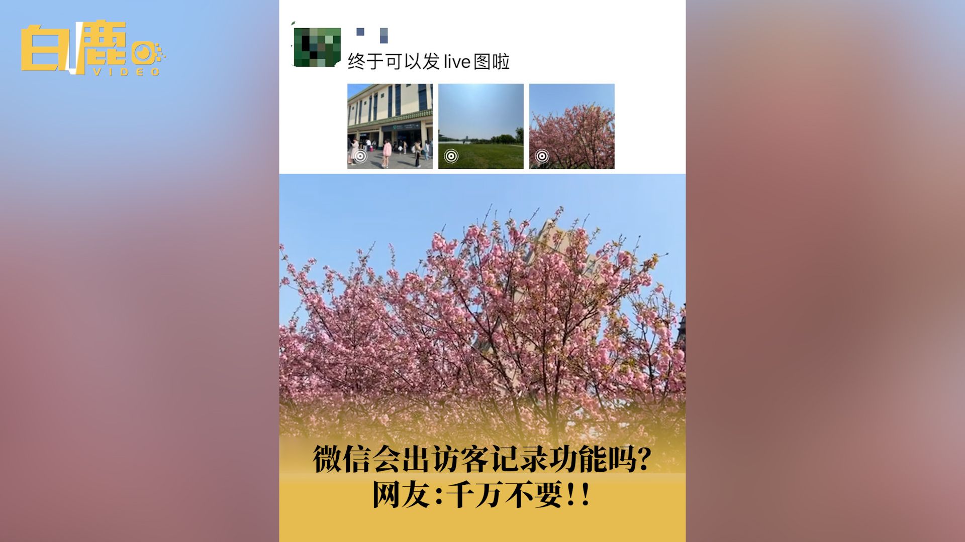 微信会出访客记录功能吗哔哩哔哩bilibili