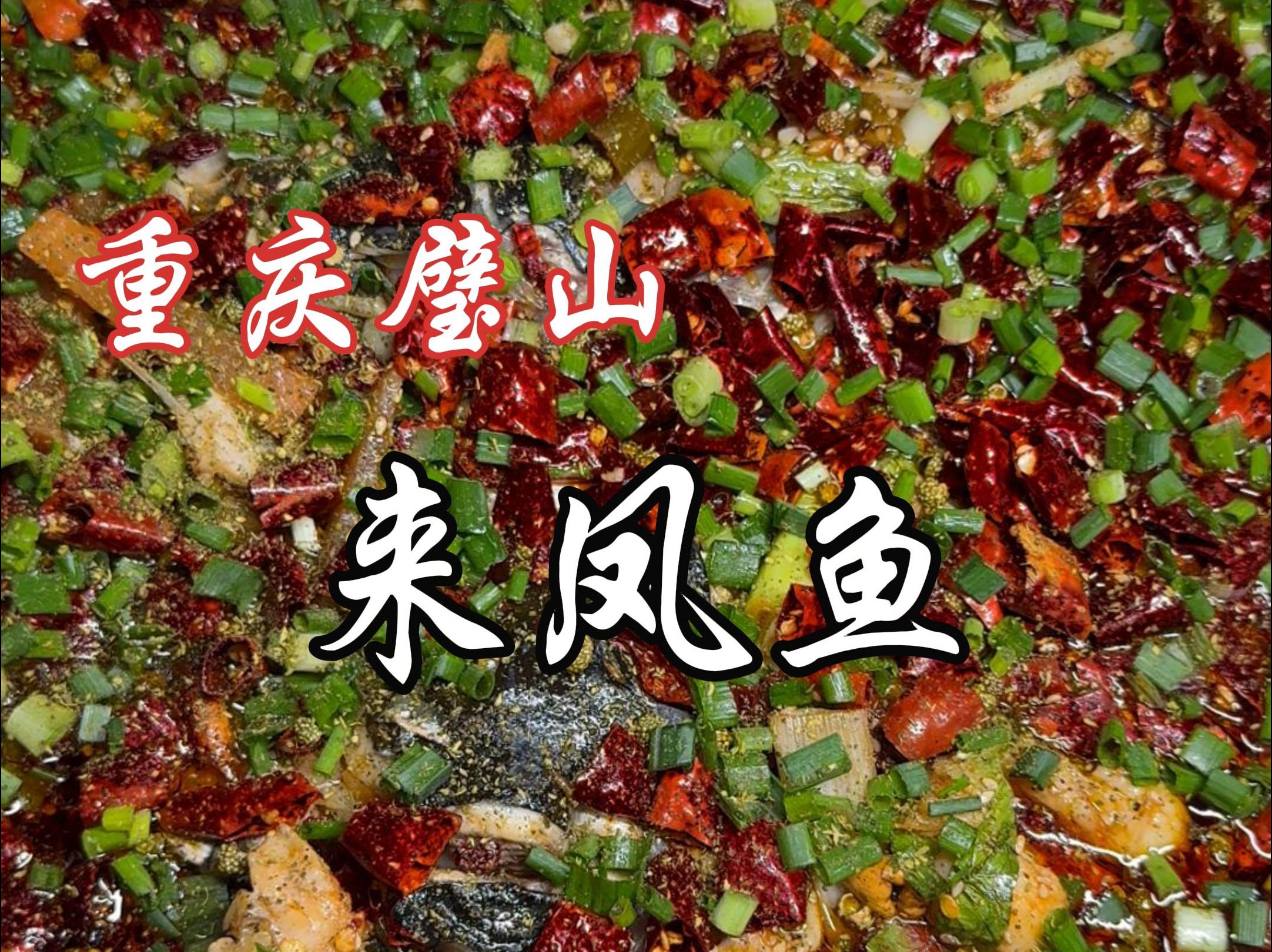 重庆江湖菜鼻祖——璧山来凤鱼!你看正不正宗就完了!哔哩哔哩bilibili