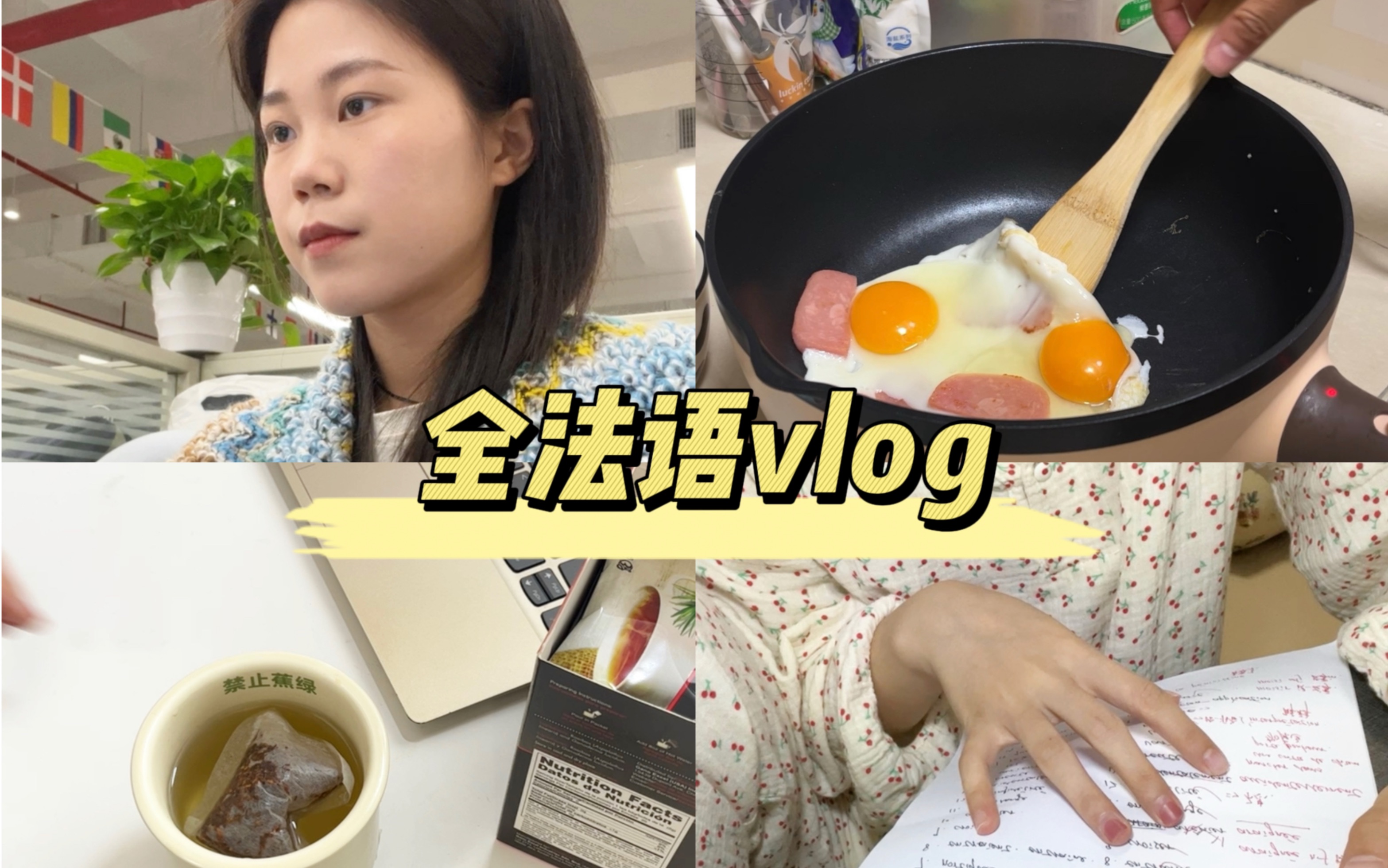 全法语vlog|是谁上班了还要准备法语专八哔哩哔哩bilibili