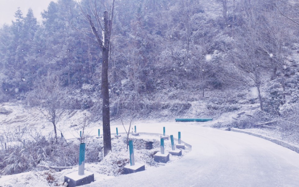 [图]“苍山负雪”