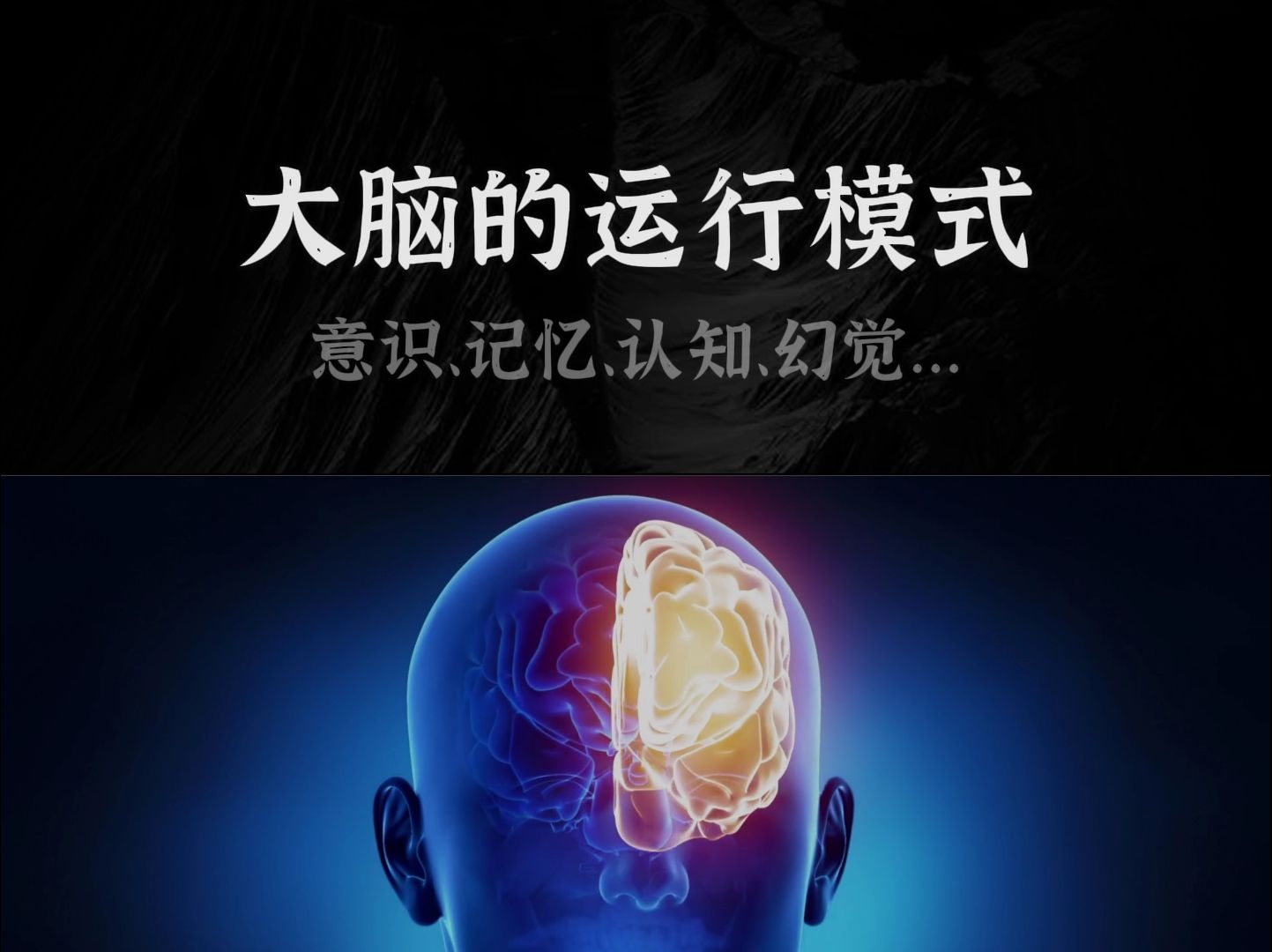 脑科学知识:了解大脑的运行模式,有益于提高效率、保持健康哔哩哔哩bilibili