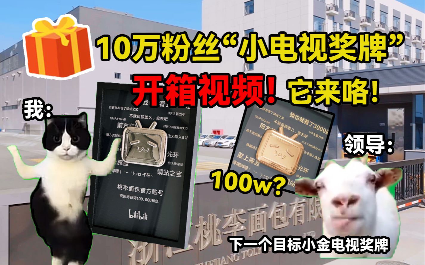 桃桃的10万粉丝小电视奖牌开箱!