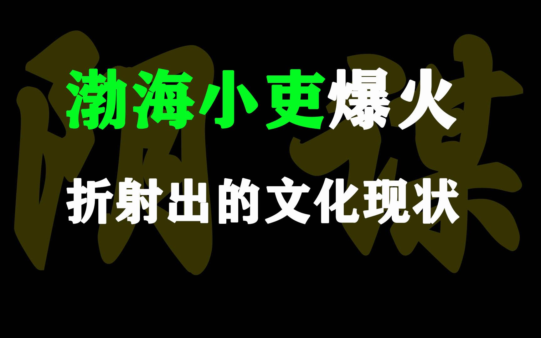 渤海小吏,《西游》阴谋论网红,吴闲云抄袭者火了哔哩哔哩bilibili