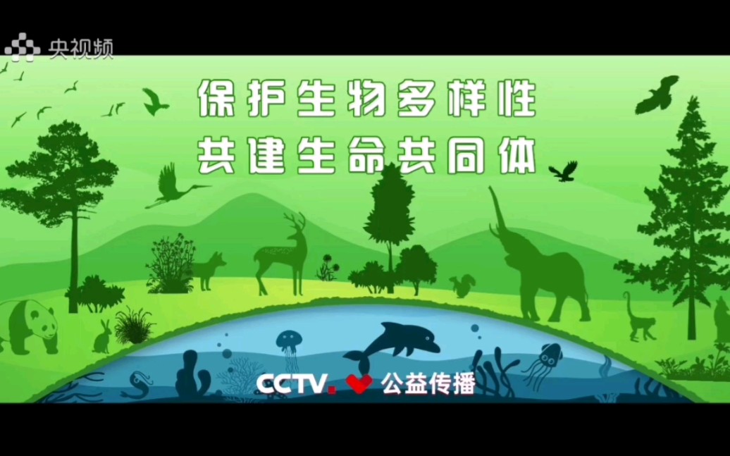 【CCTV公益传播】保护生物多样性 共建生命共同体哔哩哔哩bilibili