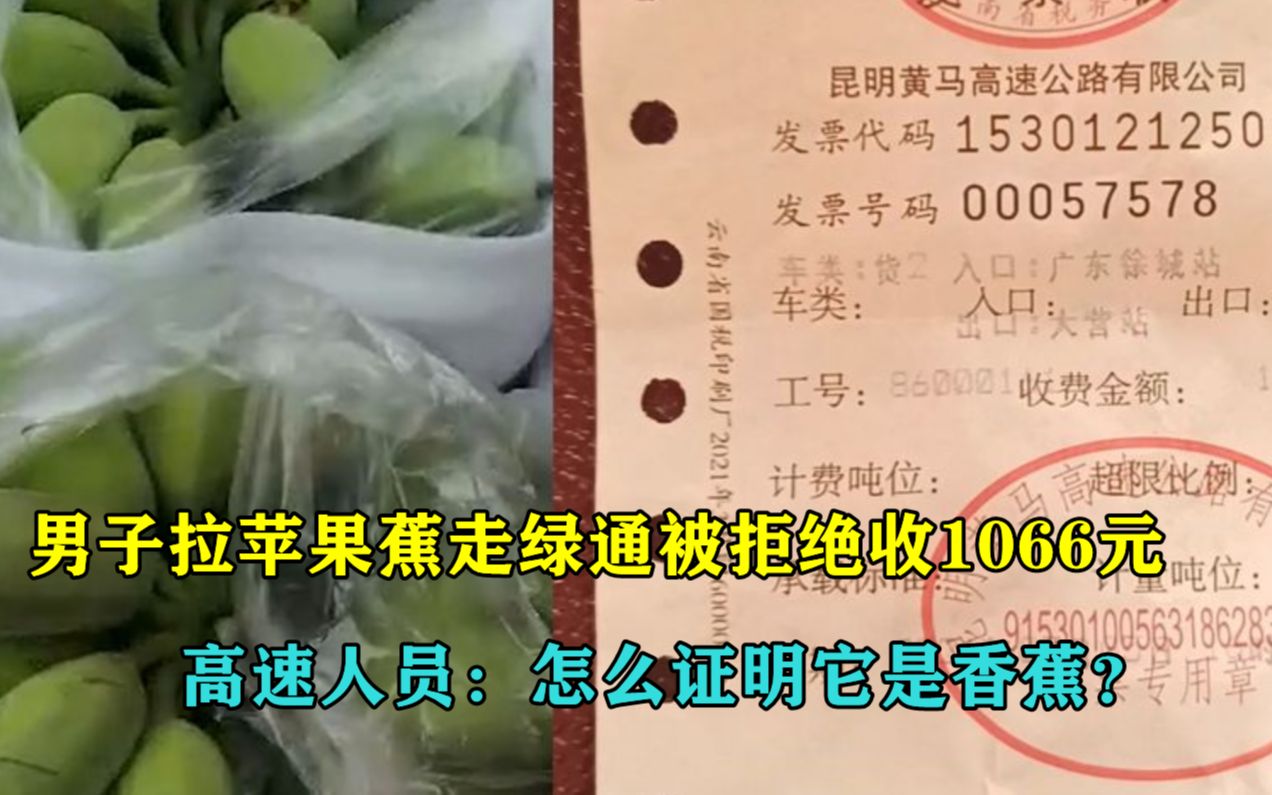 男子拉苹果蕉走绿通被拒,需交1066元路费,收费员:怎么证明它是香蕉哔哩哔哩bilibili