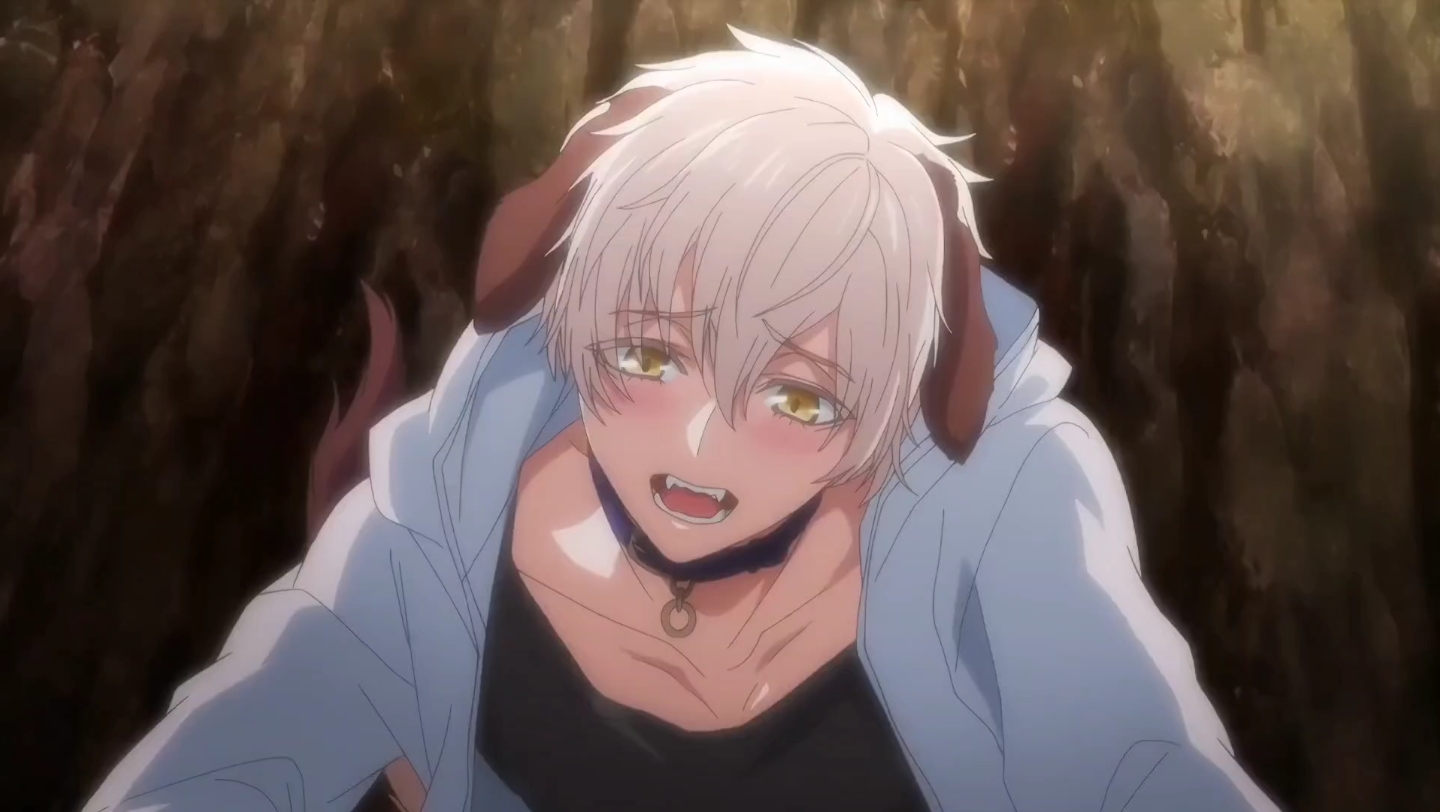 【森林里的熊先生】诺瓦好涩涩哦,我好喜欢