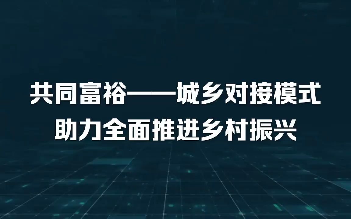 共同富裕——城乡对接模式助力全面推进乡村振兴