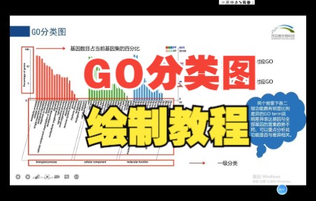 GO分类图详细介绍及0代码绘制教程方法【百迈客生物】哔哩哔哩bilibili