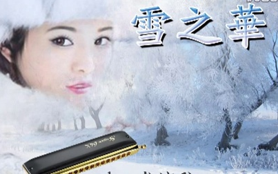 雪之华(口琴)