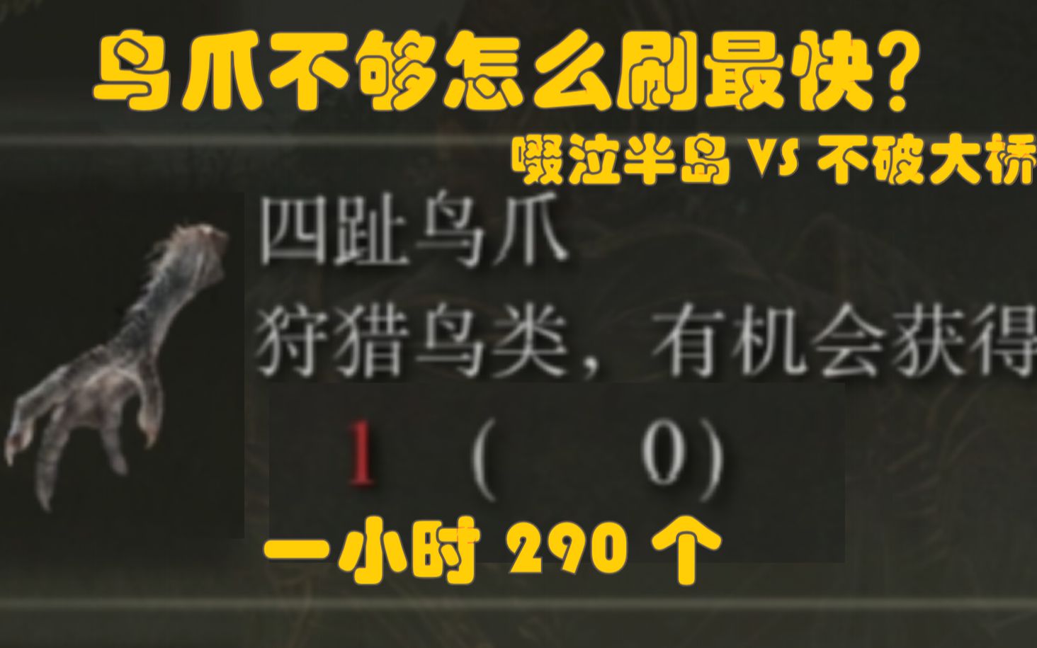 【艾尔登法环】刷鸟爪效率哪家强?对比各路刷鸡爪方法,弱智战士怎么刷最快?哔哩哔哩bilibili