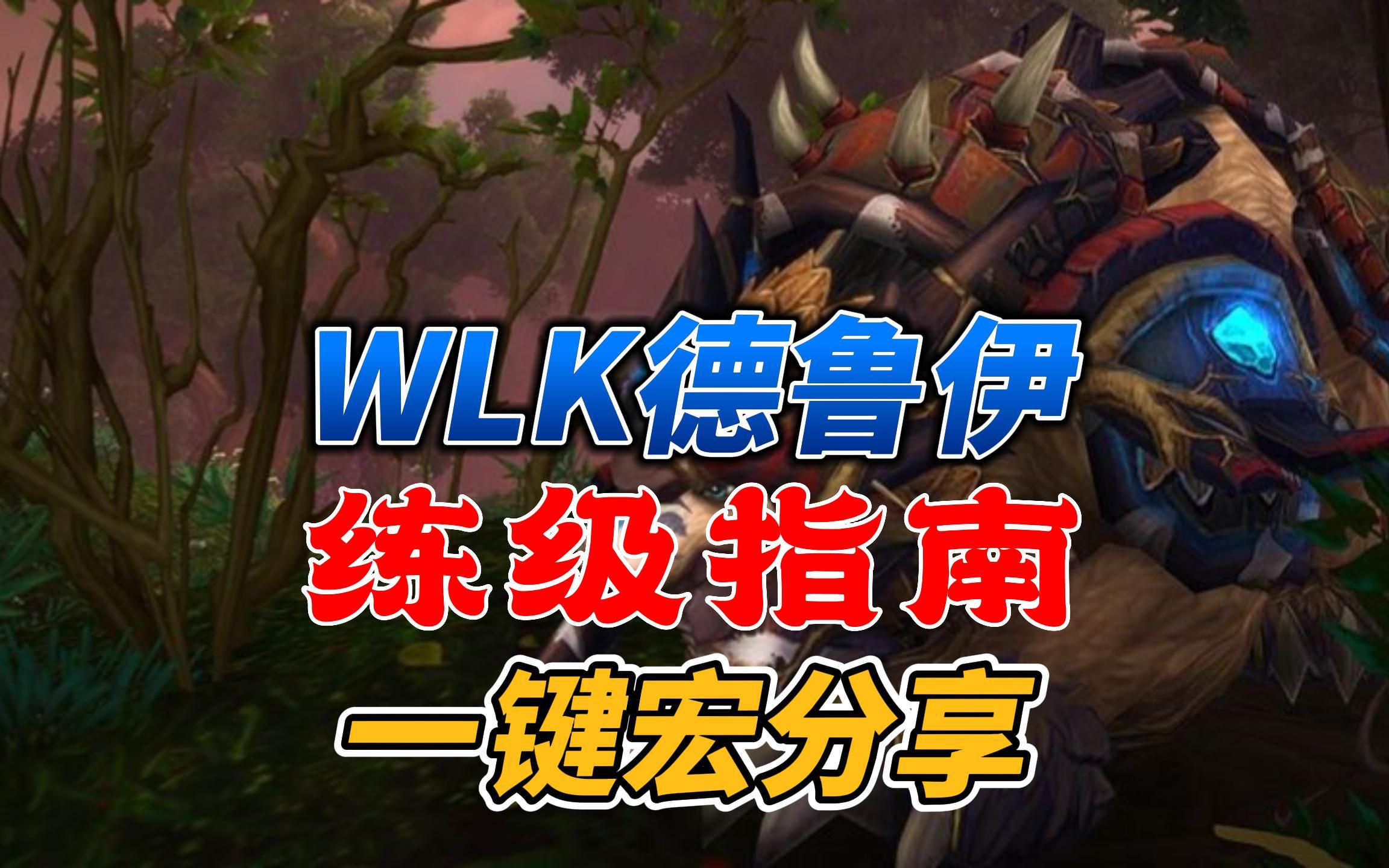 魔兽世界WLK德鲁伊练级指南,一键宏分享!魔兽世界技巧