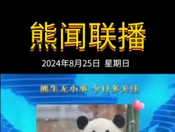 Download Video: 《熊闻联播》｜带你了解天下熊事，2024.8.25熊圈又发生了什么？（原视频素材来源网络）