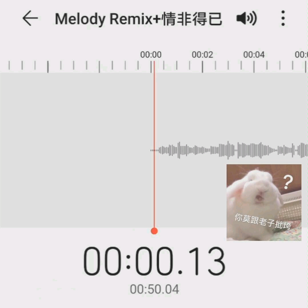 [图]Melody Remix+情非得已