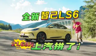 Download Video: 【21.69万!再降就赔了！】全新智己LS6能给的好像都给了