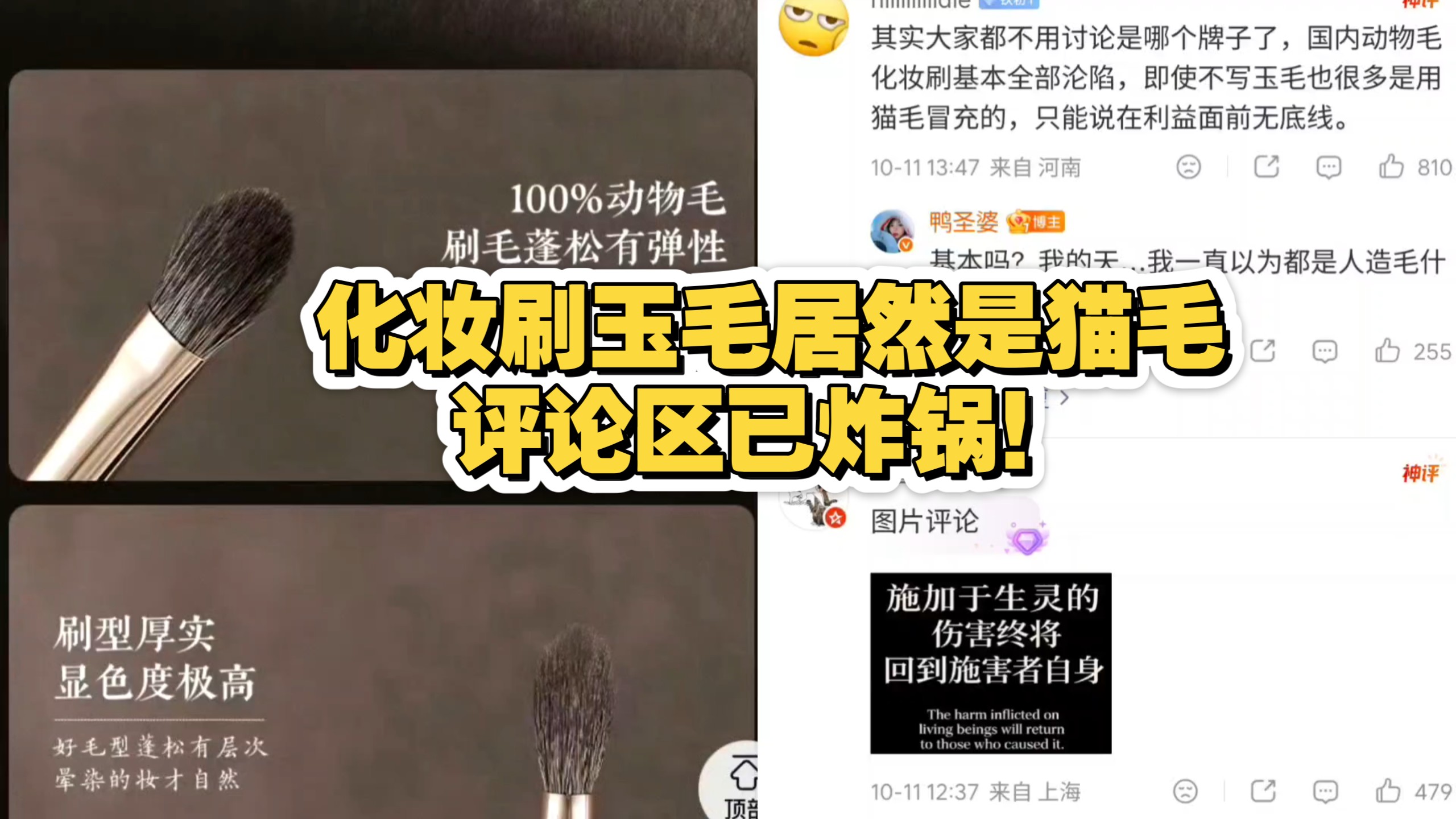 化妆刷玉毛居然是猫毛，评论区已炸锅！