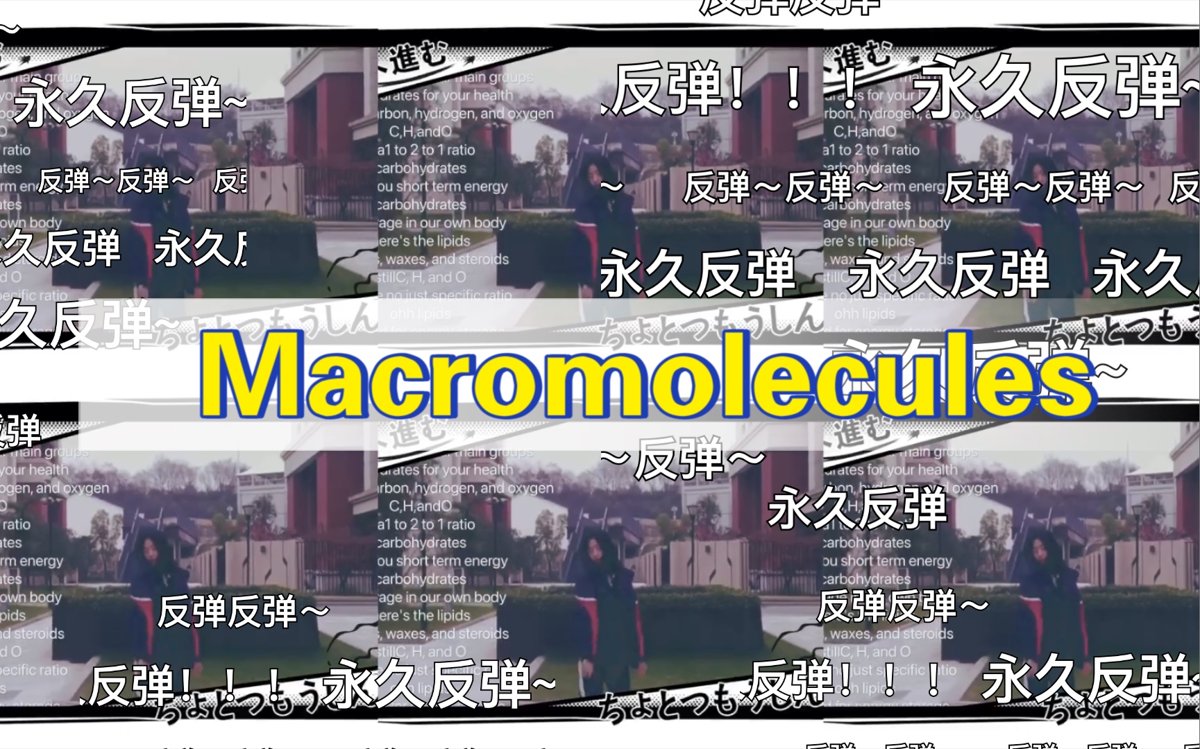 macromolecules哔哩哔哩bilibili