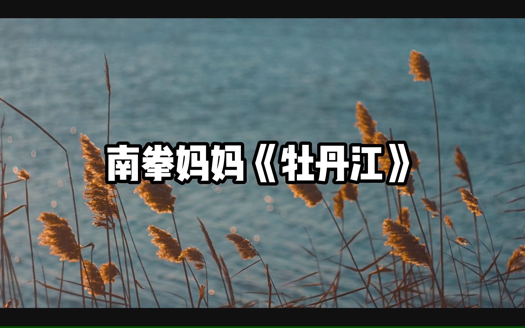 【无损音质】4K 南拳妈妈《牡丹江》最好听的版本!哔哩哔哩bilibili