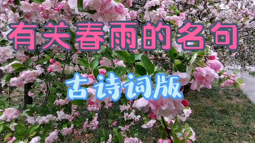 有关春雨的名句(古诗词版)哔哩哔哩bilibili