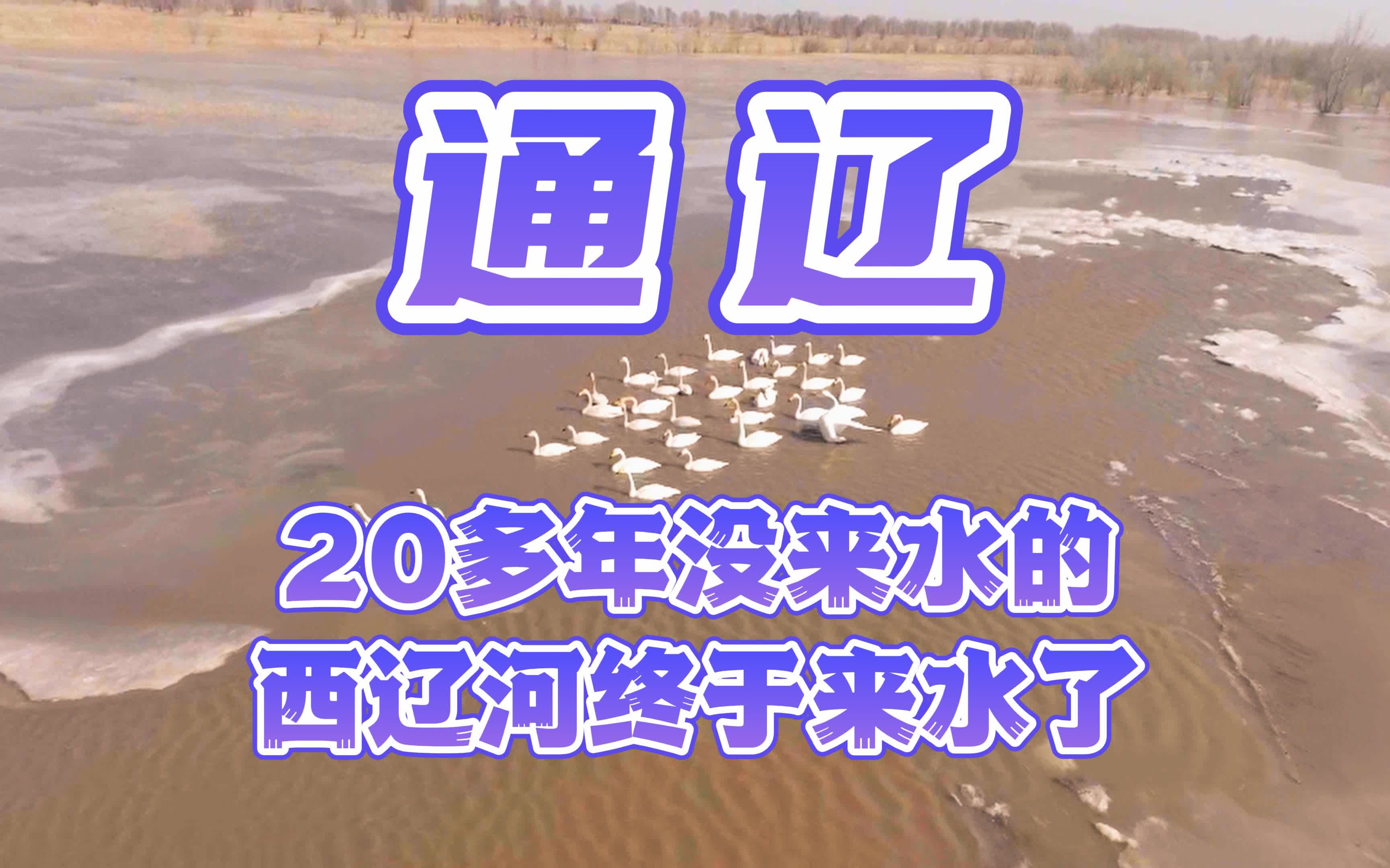 【通辽】二十多年没来水的西辽河终于来水了哔哩哔哩bilibili