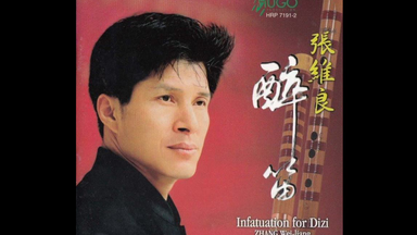 【醉笛】张维良 (Infatuation.for.Dizi)
