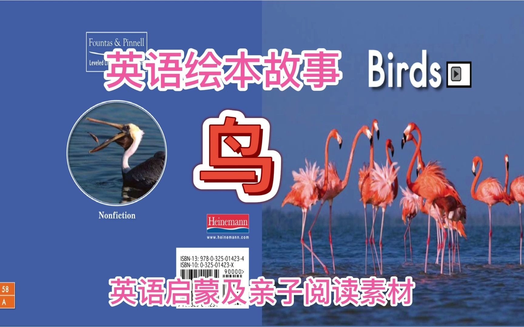 英语绘本故事《Birds》哔哩哔哩bilibili