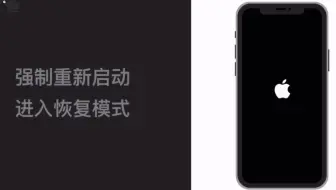 Iphone开机出现白苹果死机了肿么破 哔哩哔哩 Bilibili