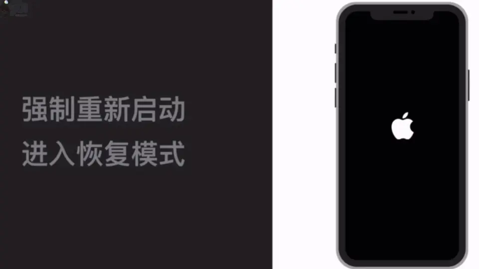 iPhone11开机一直显示白苹果？iPhoneX莫名关机重启白苹果，怎么修复？_