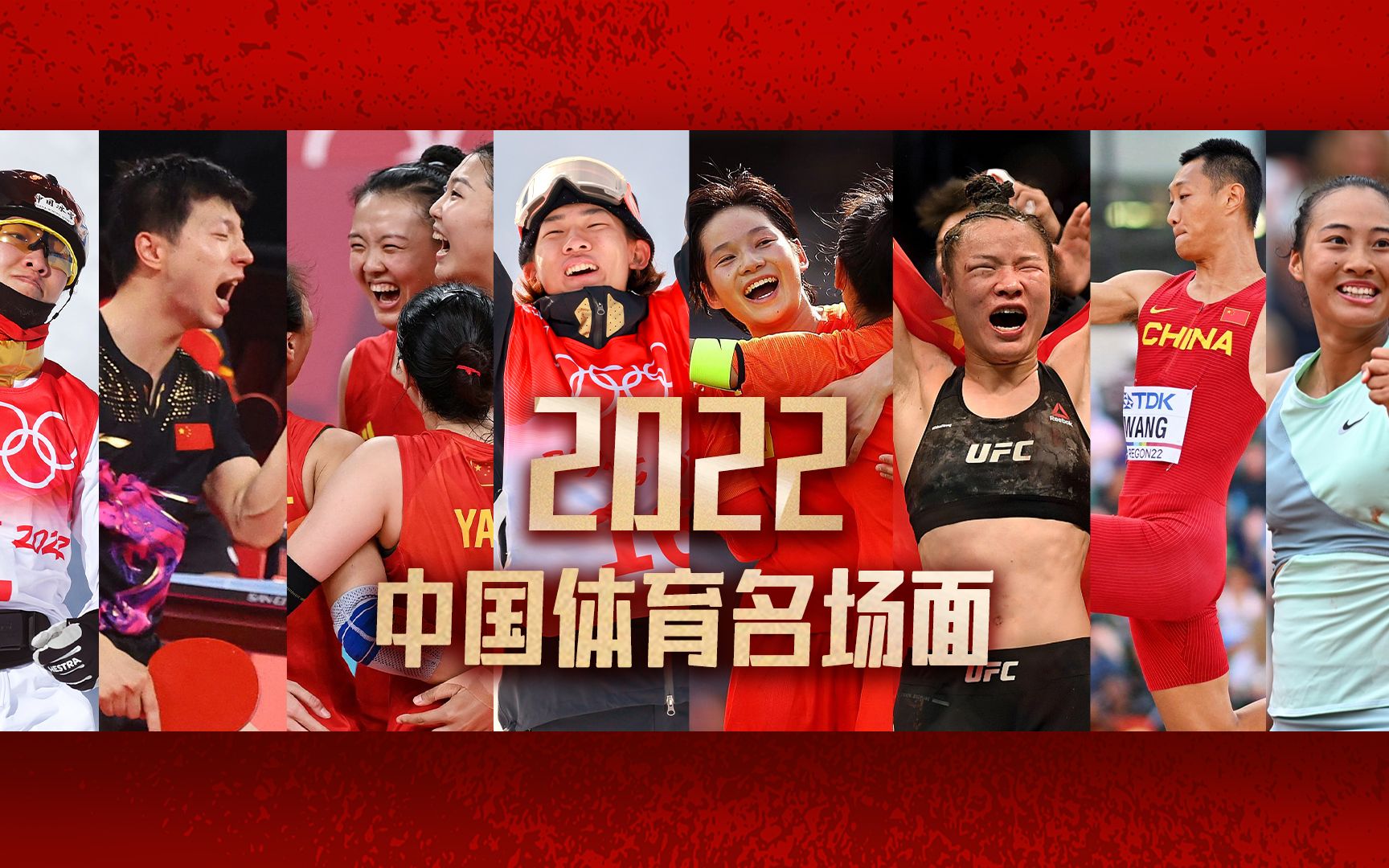 2022年中国包揽93个世界冠军哔哩哔哩bilibili