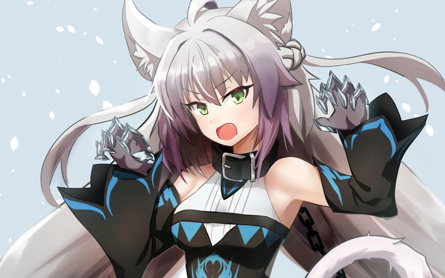 [fgo]明天就看不到这个塔喵的宝具了