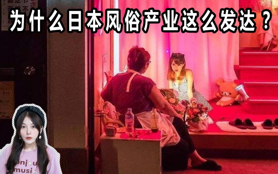 为什么在红灯区工作的日本女生这么多?每二十个中就有一个在…哔哩哔哩bilibili