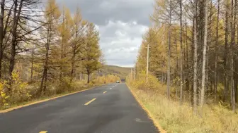 阿尔山的一段风景