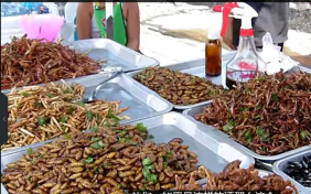 [图]19种最古怪的昆虫食品