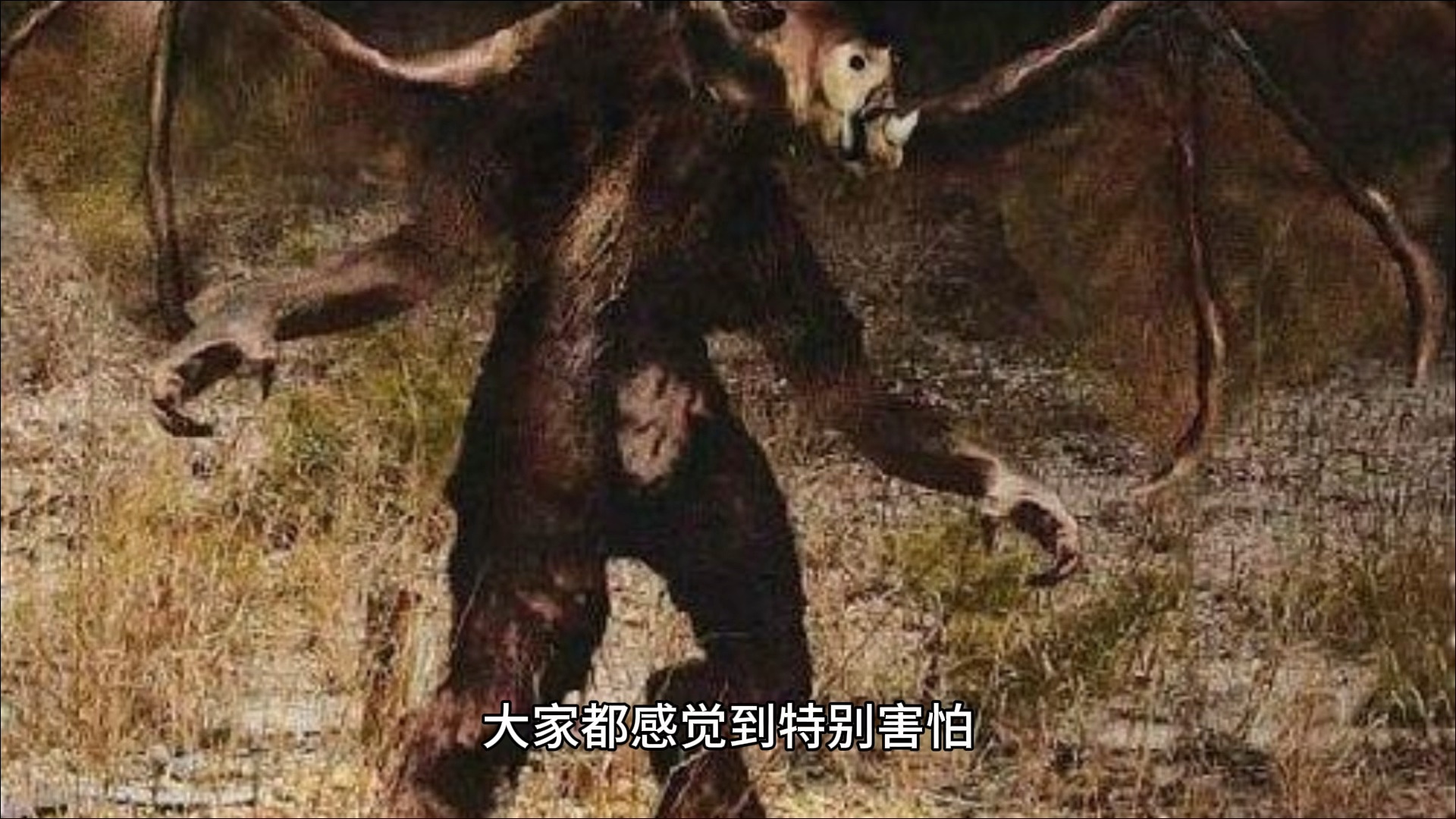 神农架野人事件