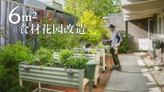 从零开始搭建6㎡可食用花园｜食材花园拓建2.0