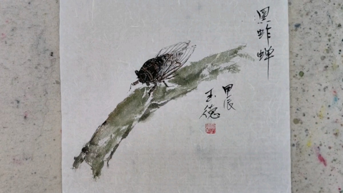 黑蚱蝉国画小写意