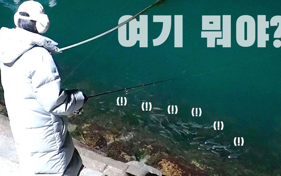 [Aengzzeng TV][安贞恩]A swarm of fish gathered by itself under your feet!哔哩哔哩bilibili