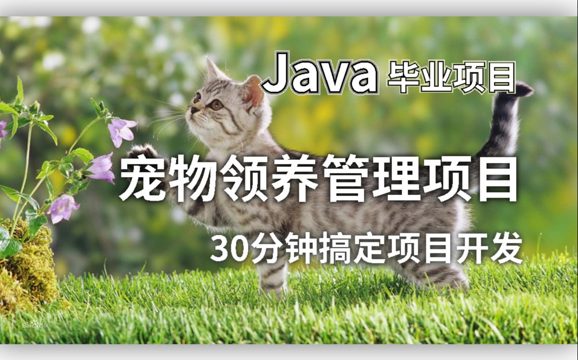 【毕设|Java项目开发】基于Java的宠物领养管理系统(附源码),30分钟搞定项目开发,详细教程全面又高效哔哩哔哩bilibili