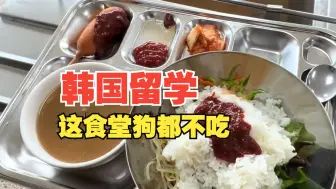 Download Video: 韩国留学，今天这顿狗都不吃！！！#食堂随拍