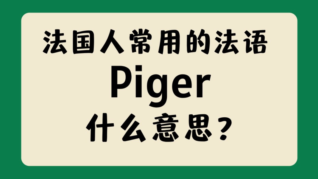 法国人常用的法语"Piger"什么意思?【法语学习干货】哔哩哔哩bilibili