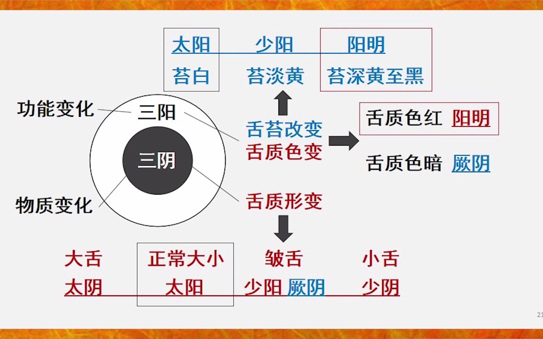 [图]【熊氏舌诊公益讲座3】舌面的六经辨证【海外中医学堂】