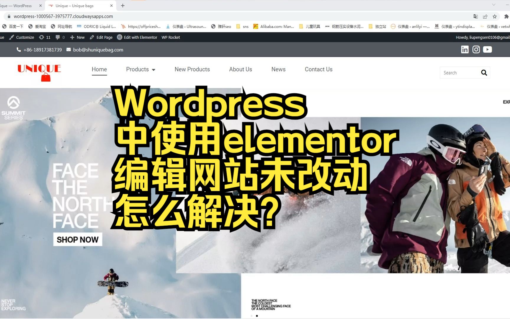 【WordPress外贸独立站建站教程】Wordpress中使用elementor编辑网站未改动怎么解决?哔哩哔哩bilibili