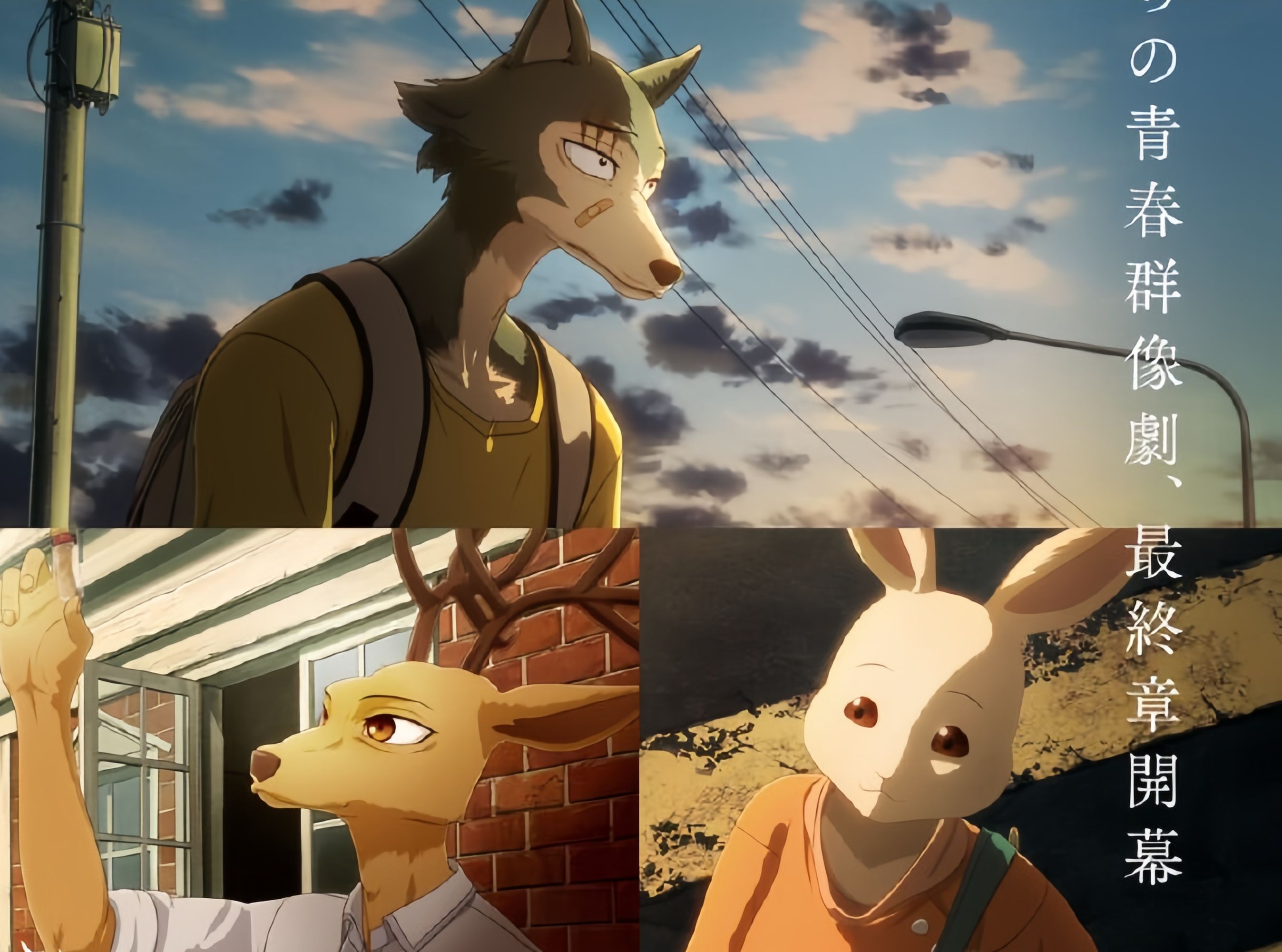 【2024年|网飞】两季度播出!《动物狂想曲 最终季》先导预告