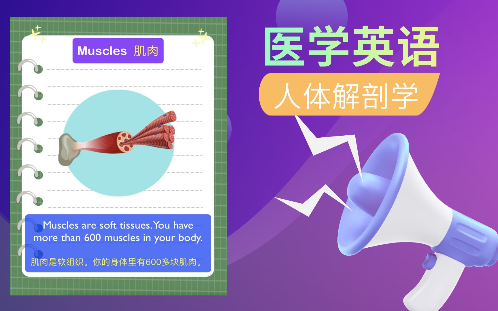 [图]让我们学习人体解剖学 | 医学英语掌握