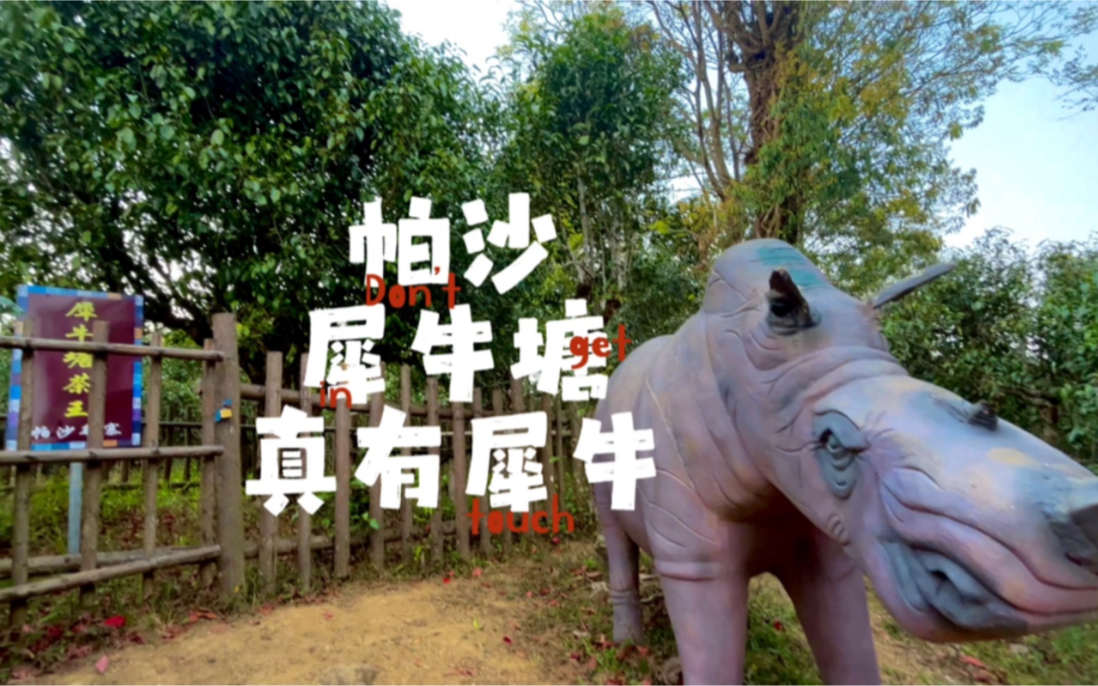 帕沙 犀牛塘真有犀牛