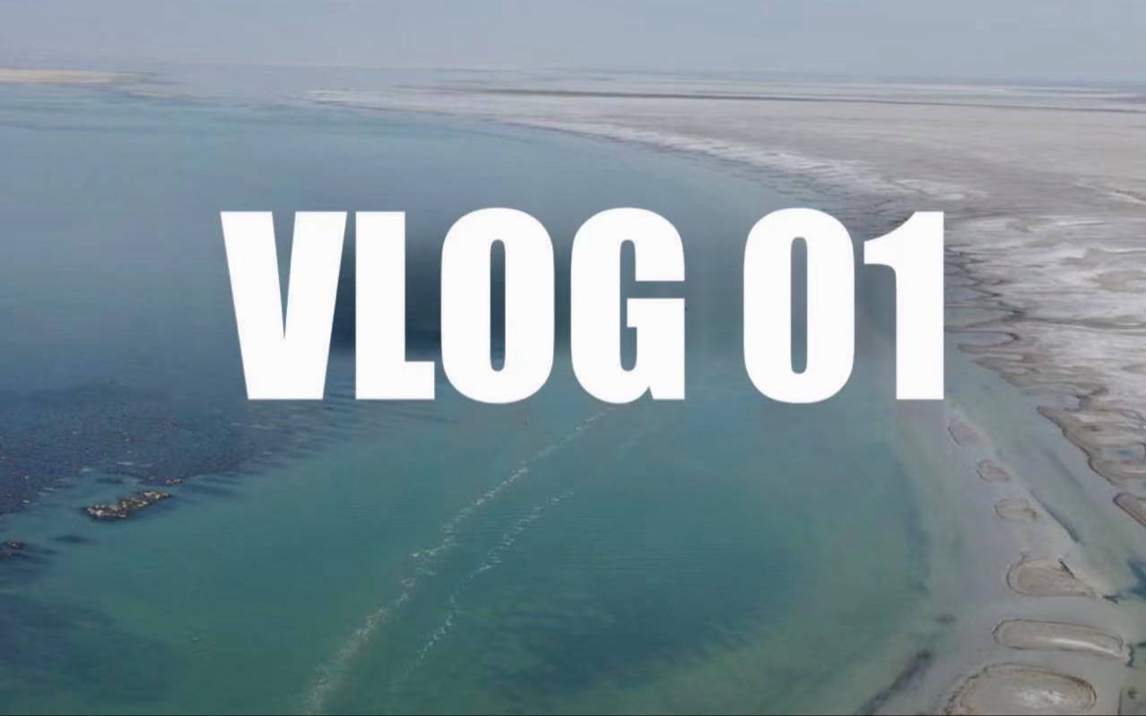 大盐湖游玩!The Great Salt Lake!VLOG 01哔哩哔哩bilibili