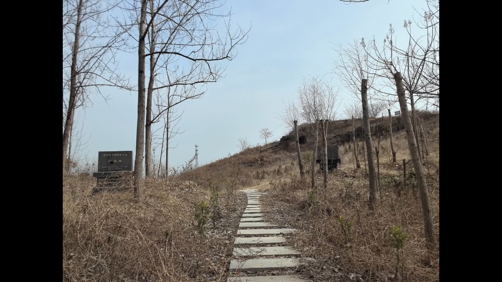 正月初五 情人节 涡阳 嵇康墓(是钟会,介意勿扰)