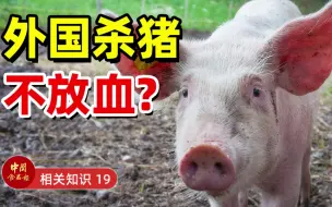 Download Video: 外国猪肉骚，真的是因为杀猪不放血？