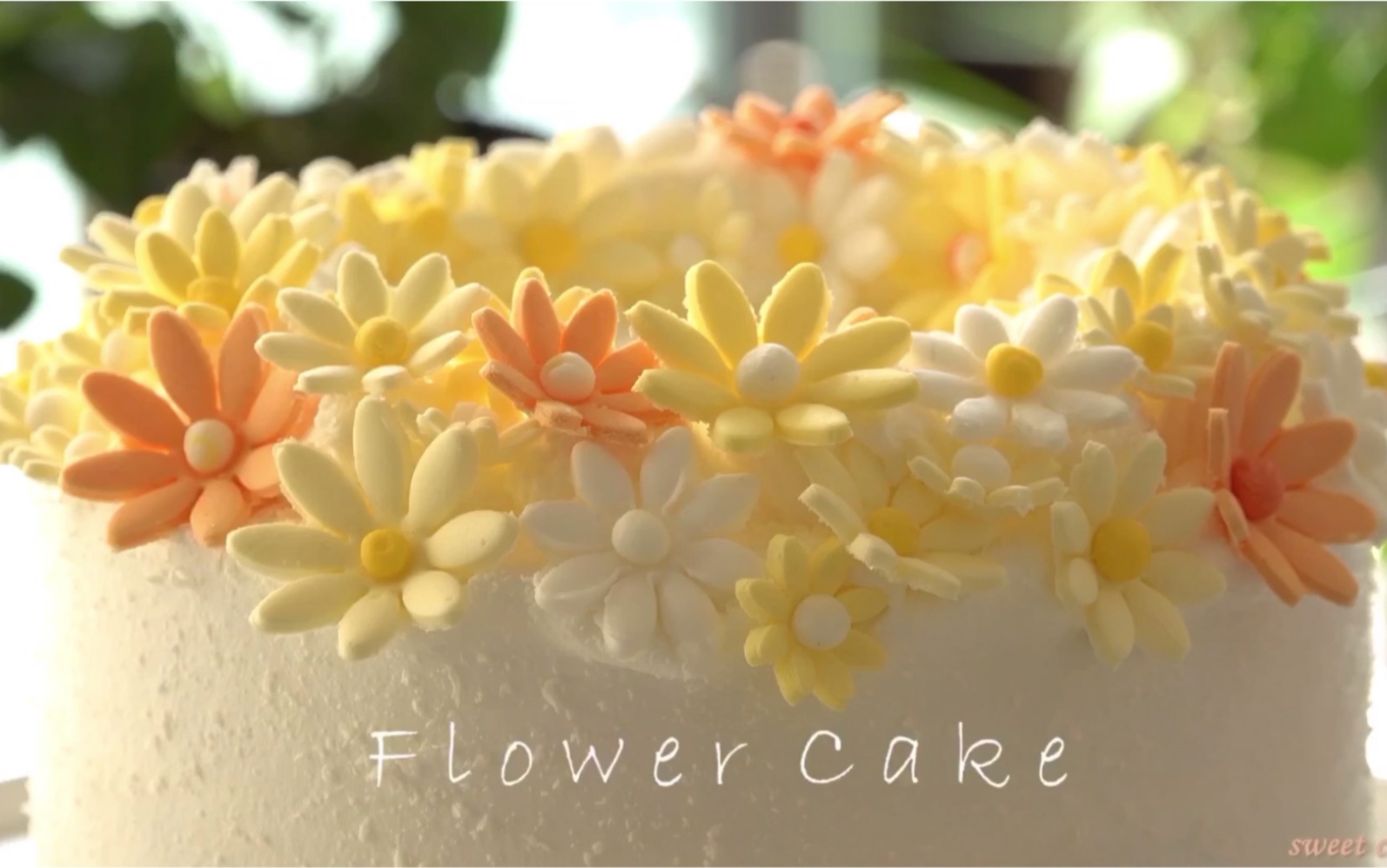【sweet cocina】小雏菊花环蛋糕