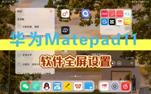 Download Video: 华为Matepad11 软件全屏设置——（rotation）